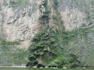 canon del sumidero 26